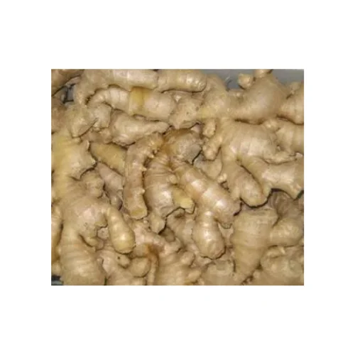 Premium Grade Raw Quality Natural & Organic 100% Fresh Ginger Of Superior Quality For Export From Viet Nam Manufacture