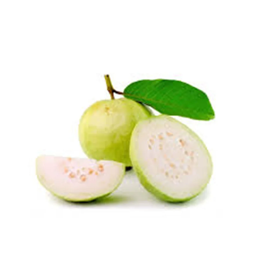 High quality sweet Guava Giving your Taste a nature Taste Guava