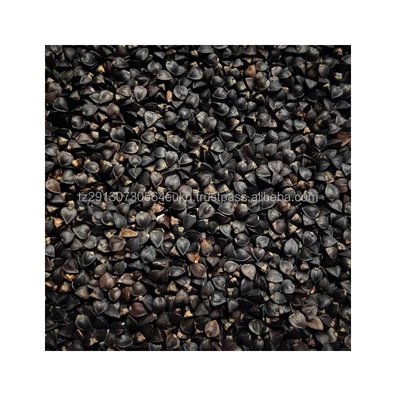Wholesale hulled buckwheat / Buckwheat grain / buckwheat seed