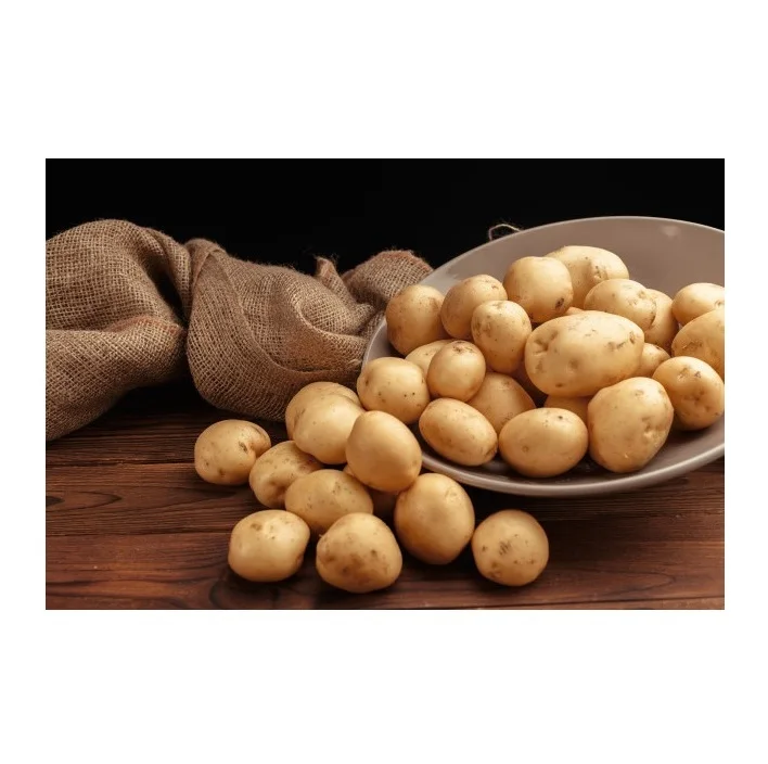 Organic New Crop Fresh Irish Potatoes Sweet Tasting Organic Irish Potatoes
