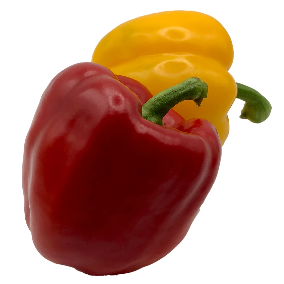 100% Fresh & Natural Color Capsicum Fresh Exotic Vegetables Bell Peppers