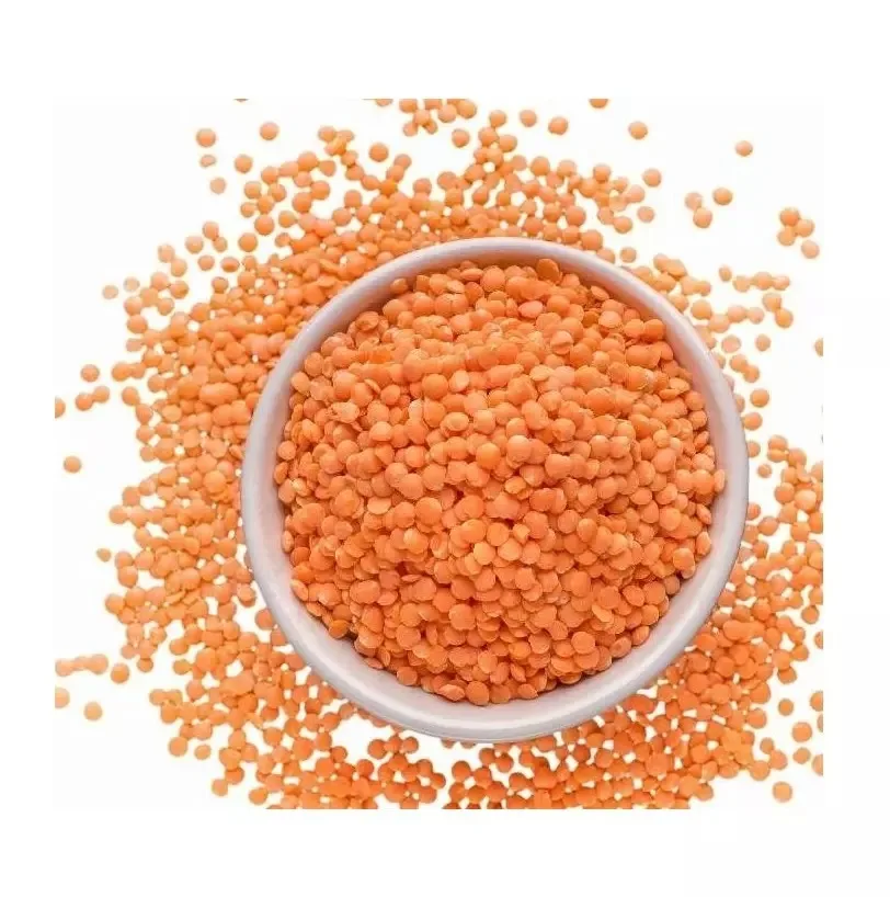 High Quality Red Lentils Healthy Dried Legumes in Bulk Corresponding to Interstate Standards Packed in Bags for Wholesaling