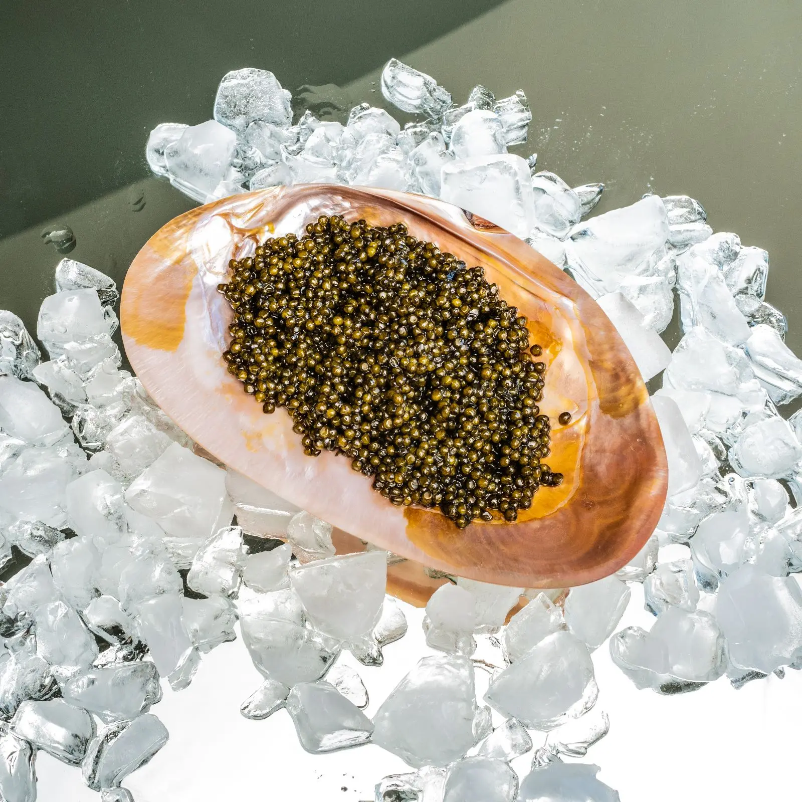 Luxurious caviar serving dish and spoon set wholesale factory price polished natural mother of pearl flatware