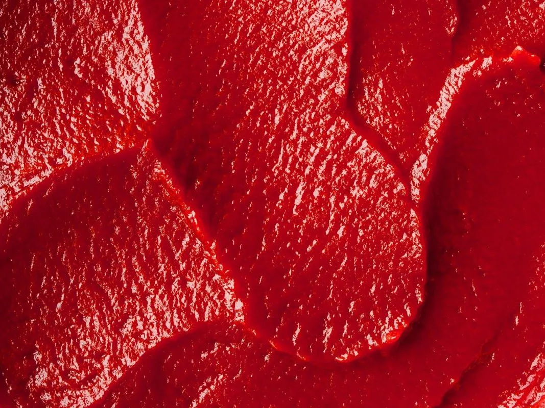 Top quality Fresh canned tomato paste 100% purity from factory with best taste at cheap wholesale price