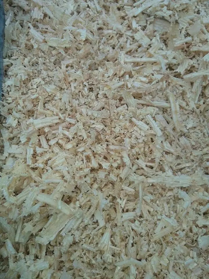 HOT SALE!!! WOOD SHAVING FOR BEDDING/MAKING PAPER WITH COMPETITIVE PRICE FOR WHOLESALE HIGH QUALITY FOR EXPORT FROM VIETNAM 2023