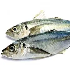 IQF frozen Horse Mackerel and Round Scad - Bulk 10 kgs/ carton - Original country Vietnam