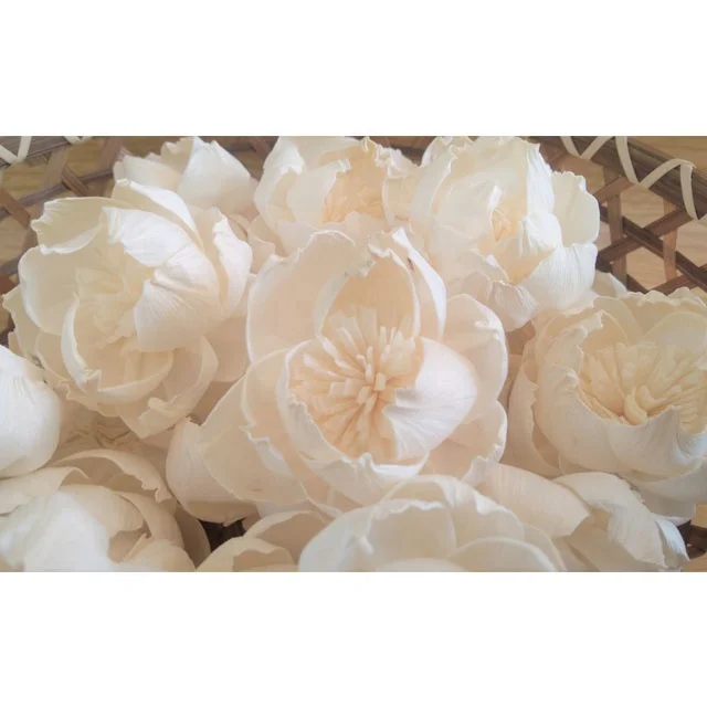 Peony with Pollen Sola Wood Flowers Artificial Dried Wholesale Handicraft Home Decor Decoration Thailand Reed Diffuser