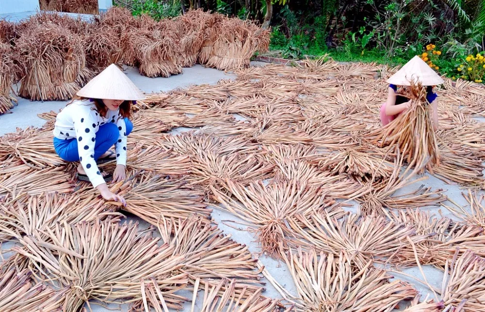 Vietnam factory Creative Seagrass elephant baskets Storage woven with lid for clothing and home decoration, laundry baskets