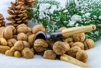 Best Price Unshelled Walnuts Walnuts And Walnut Kernels