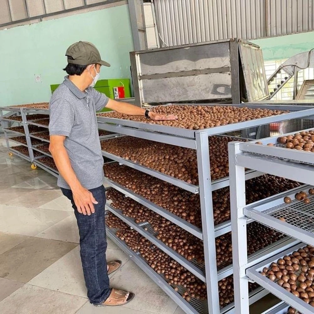 Поставщик VIET NAM орехи макадамии в скорлупе оптовые поставки на экспорт по лучшим ценам сумка Vietnam Top Sound