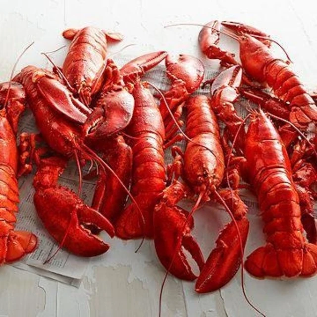Hot Sale Live Mud Crabs, Blue Crabs, King Crabs /Live Seafood/ Frozen King Crab