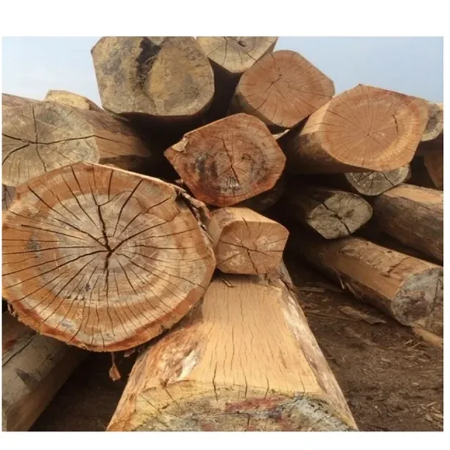 PINE,SPRUCE, BIRCH, OAK, ASH , AFRICAN HARDWOOD LOGS FOR SALE
