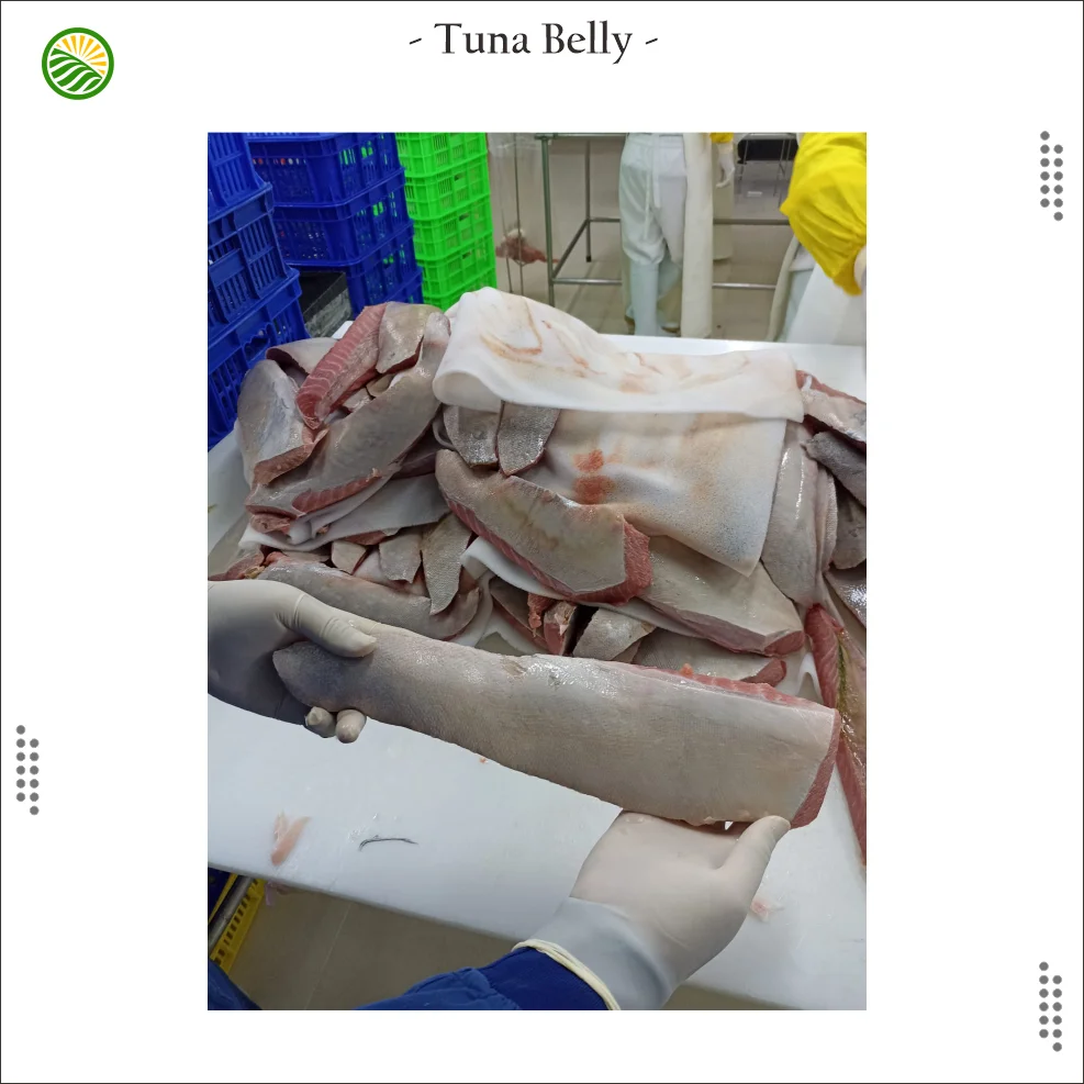 The best quality frozen Ottoro/chuttoro/Belly Tuna of  Yellow fin Tuna from Indonesia
