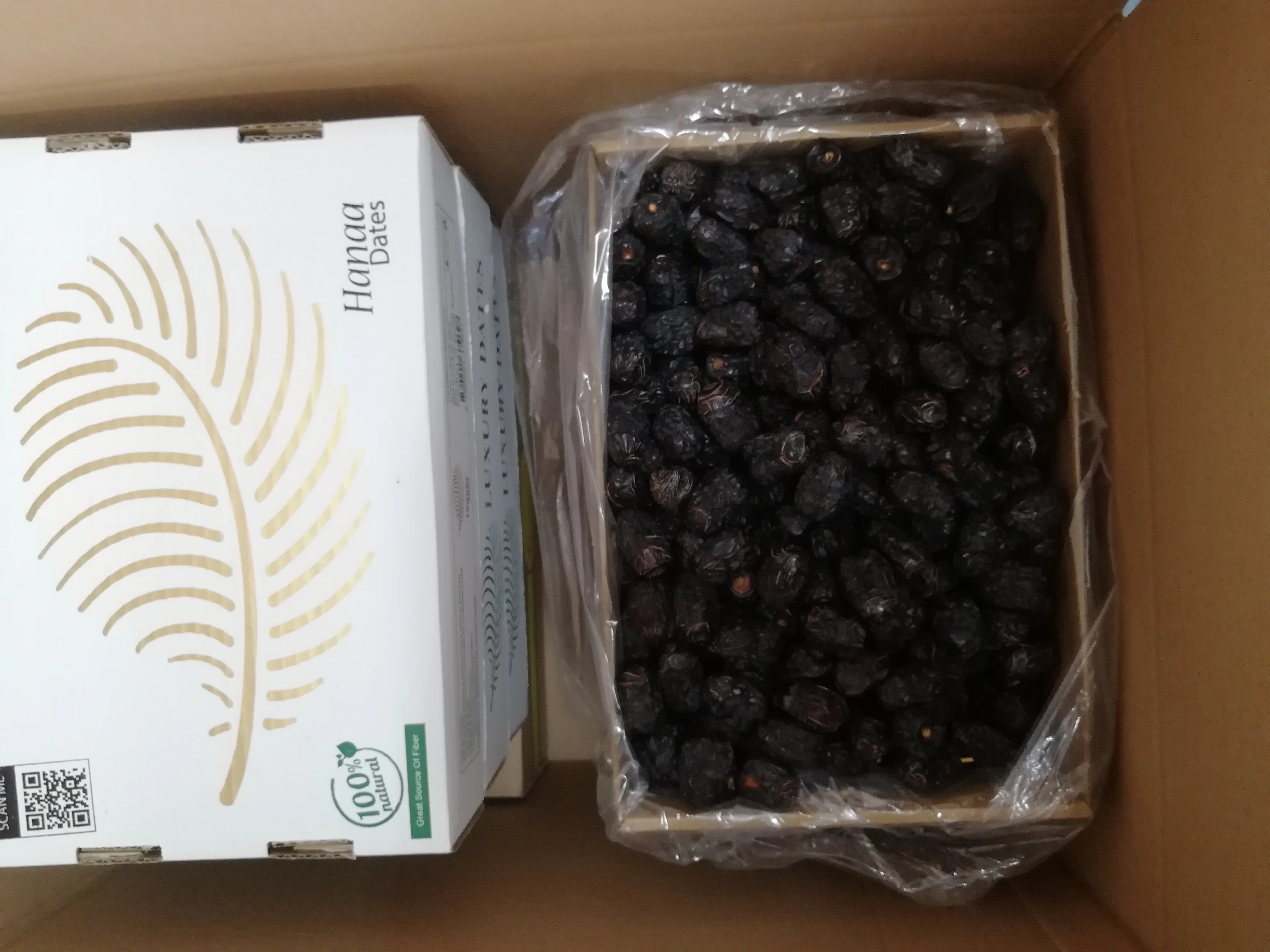 Fresh crops Ajwa dates Top qualities available Golden Supplier based in Saudi Arabia available customized packaging