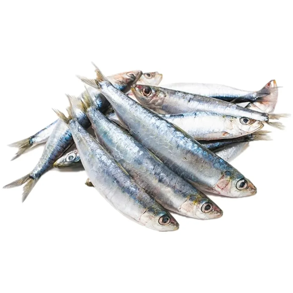 Лучшие Морепродукты с Свежей Замороженной сардиной рыбой цена замороженная Сардина для продажи