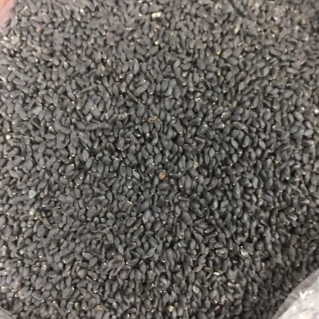 Basil Seeds