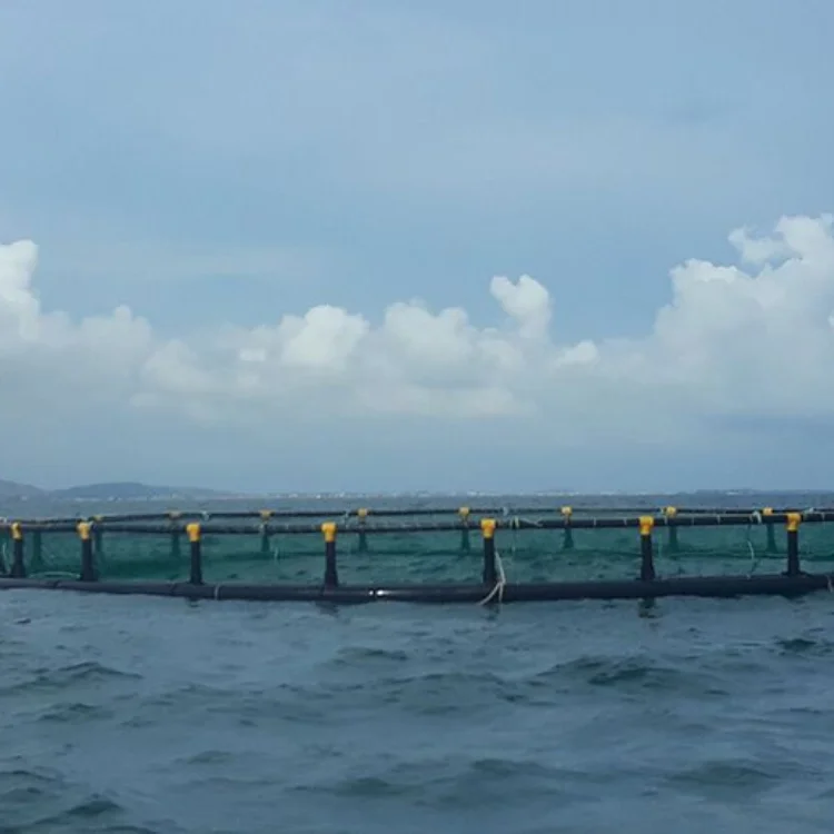 Fish Cage Aquaculture Farming Hdpe Fish Farming Cage Floating For Pisciculture Agricultural Equipment Fish Farm made in Viet Nam