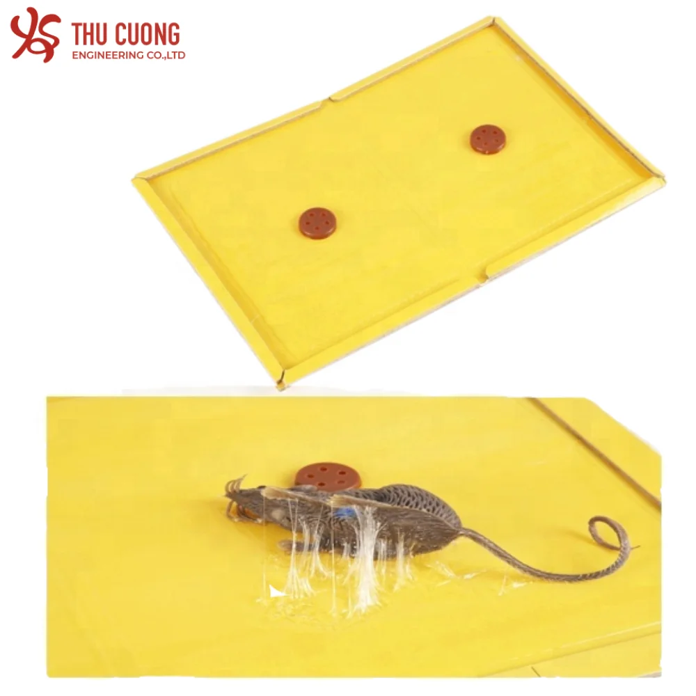 Paper Board Effective Pest Control Disposable Rat Mouse Competitive Sticky Glue Trap Eco Friendly Foldable Design Rodent Control