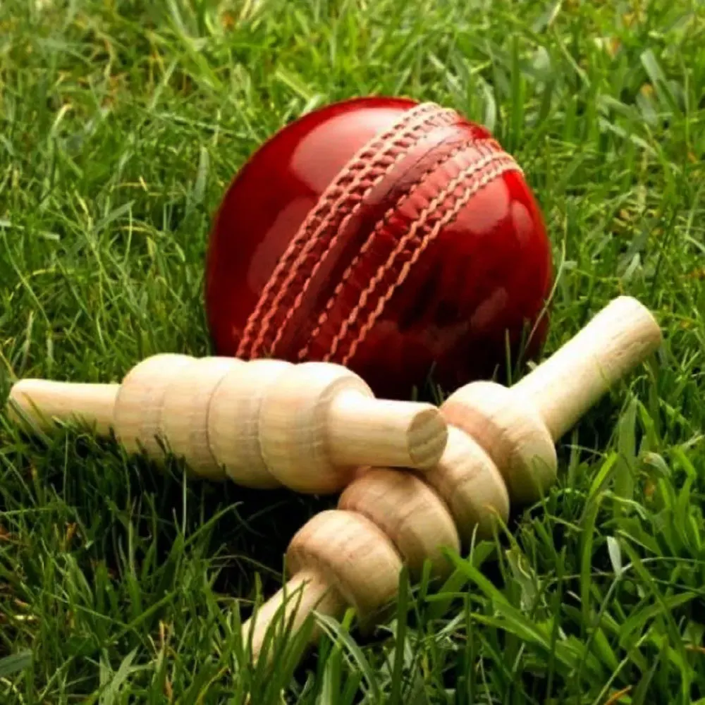 Sporting Goods Super Wholesale Red Cricket Leather Ball