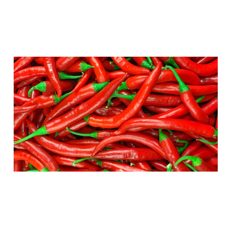 High End Low Cost Raw Fresh Spice And Herb Large Red Chili Peppers