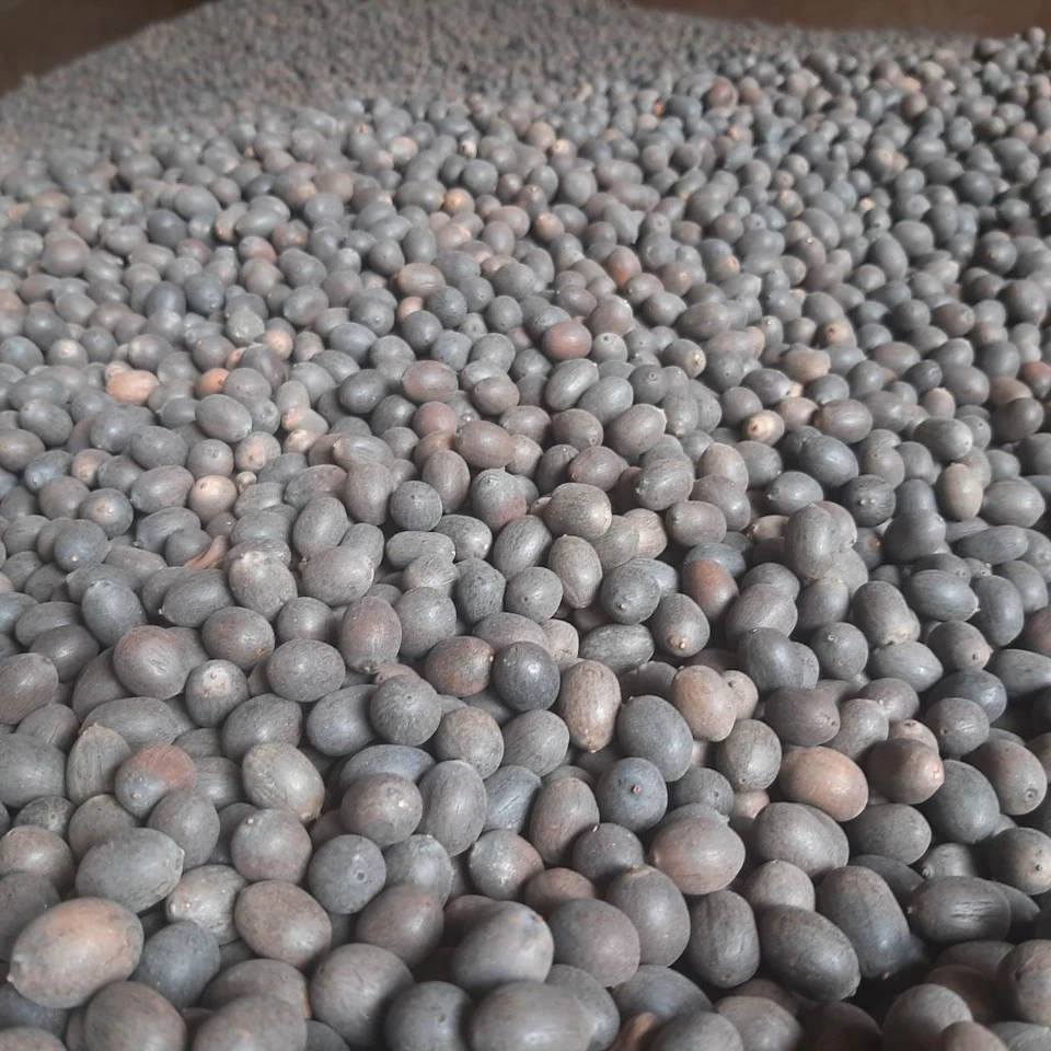 New season the cheapest price Dried Lotus Seed Vietnam Organic high quality