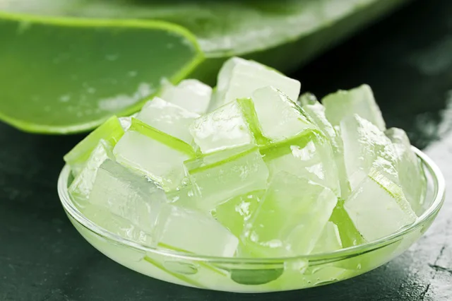 Unlock the Healing Powers of Aloe Vera: Factory Direct Sale, 100% Organic