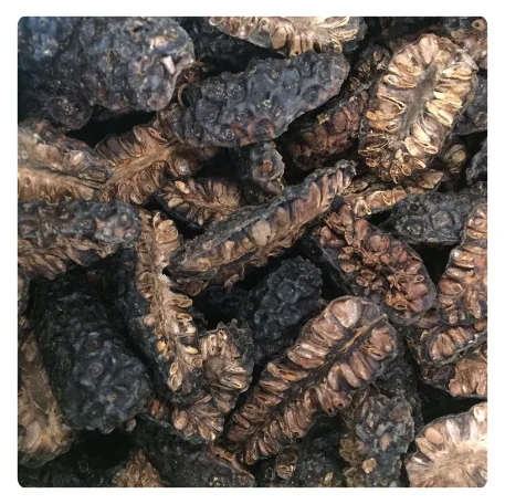 VIETNAMESE Dried Noni Fruit EXPORTER - BUY WHOLE AND HALF-CUT IN BULK AT BEST PRICES