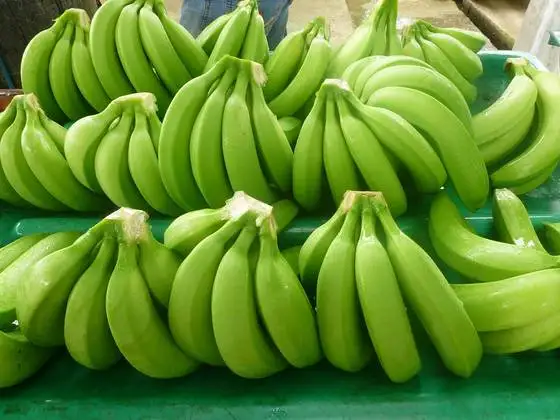 Fresh-Green banana.jpg
