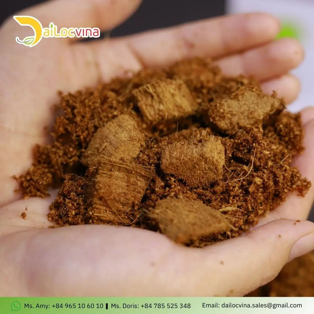 MIXING BETWEEN COCO PEAT AND COCO CHIP SUITABLE FOR GROWING MEDIUM
