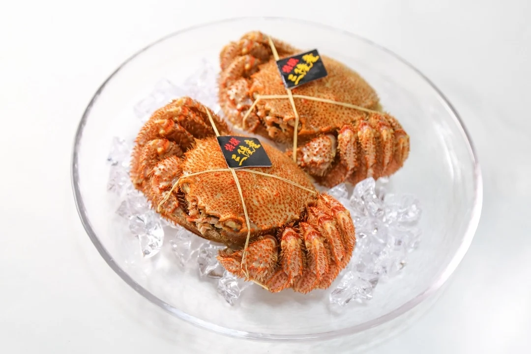 Horsehair Crab Japanese Seafood Frozen Boiled Dishes Meat Cleaned Export for Sale
