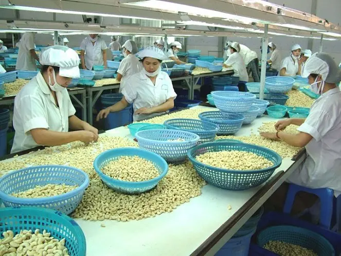 CASHEW NUT  GRADE WW 450, VIETNAM ORIGIN, HIGH QUALITY, BEST PRICE, CROP 2022-2023, USED FOR FOOD