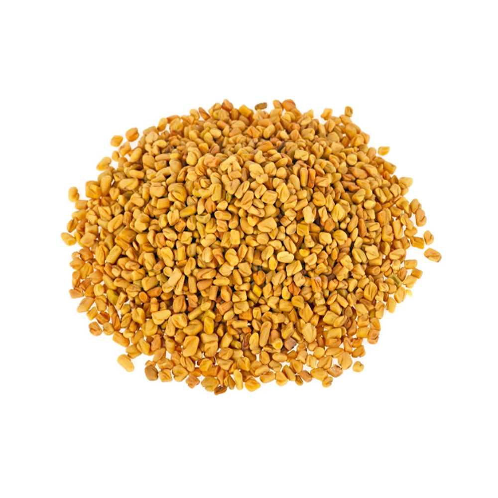 Great For Appetite Control Best Quality Fenugreek Seeds Buy Other Whole Spices At Factory Price