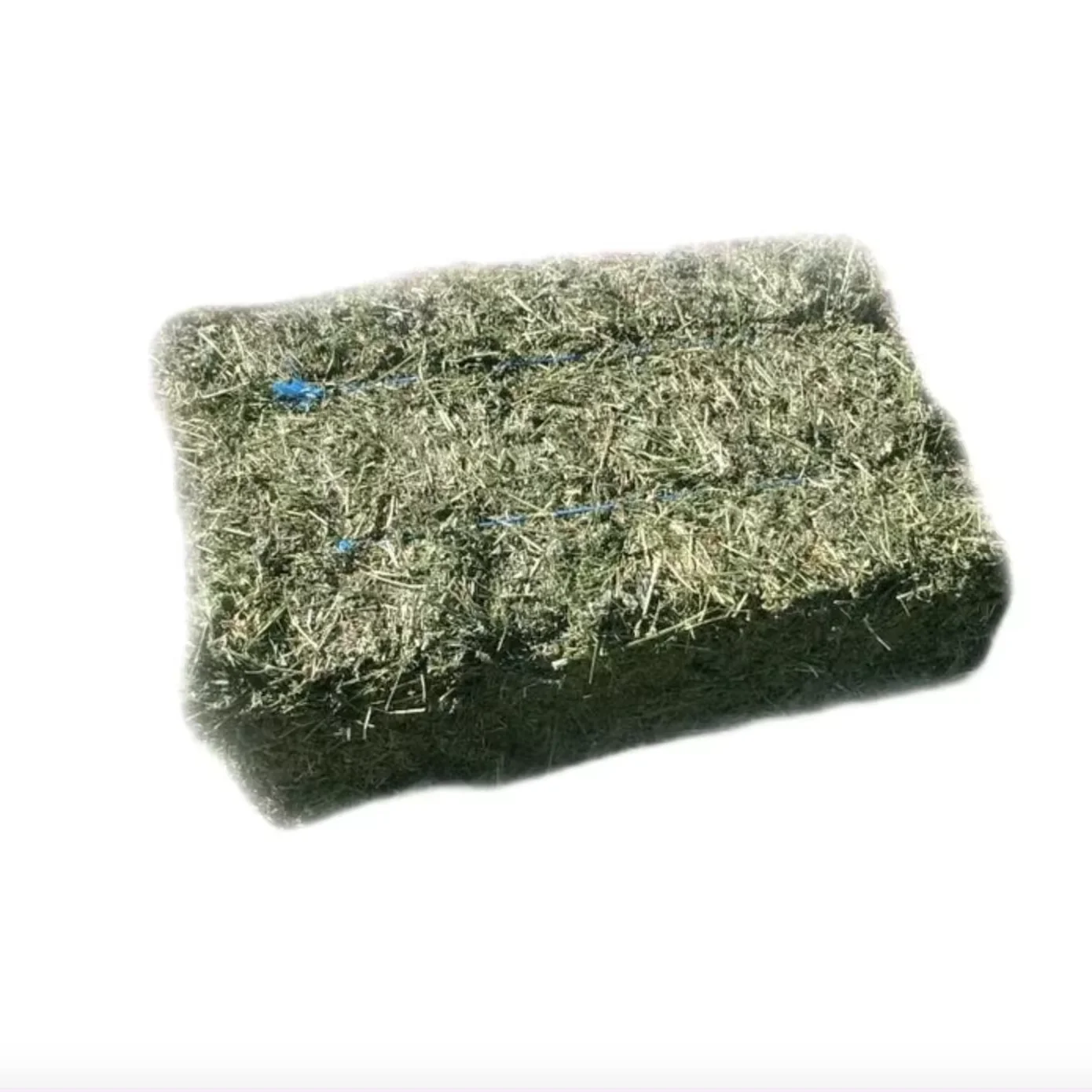 Aflalfa Hay (Premium A1) For Sale