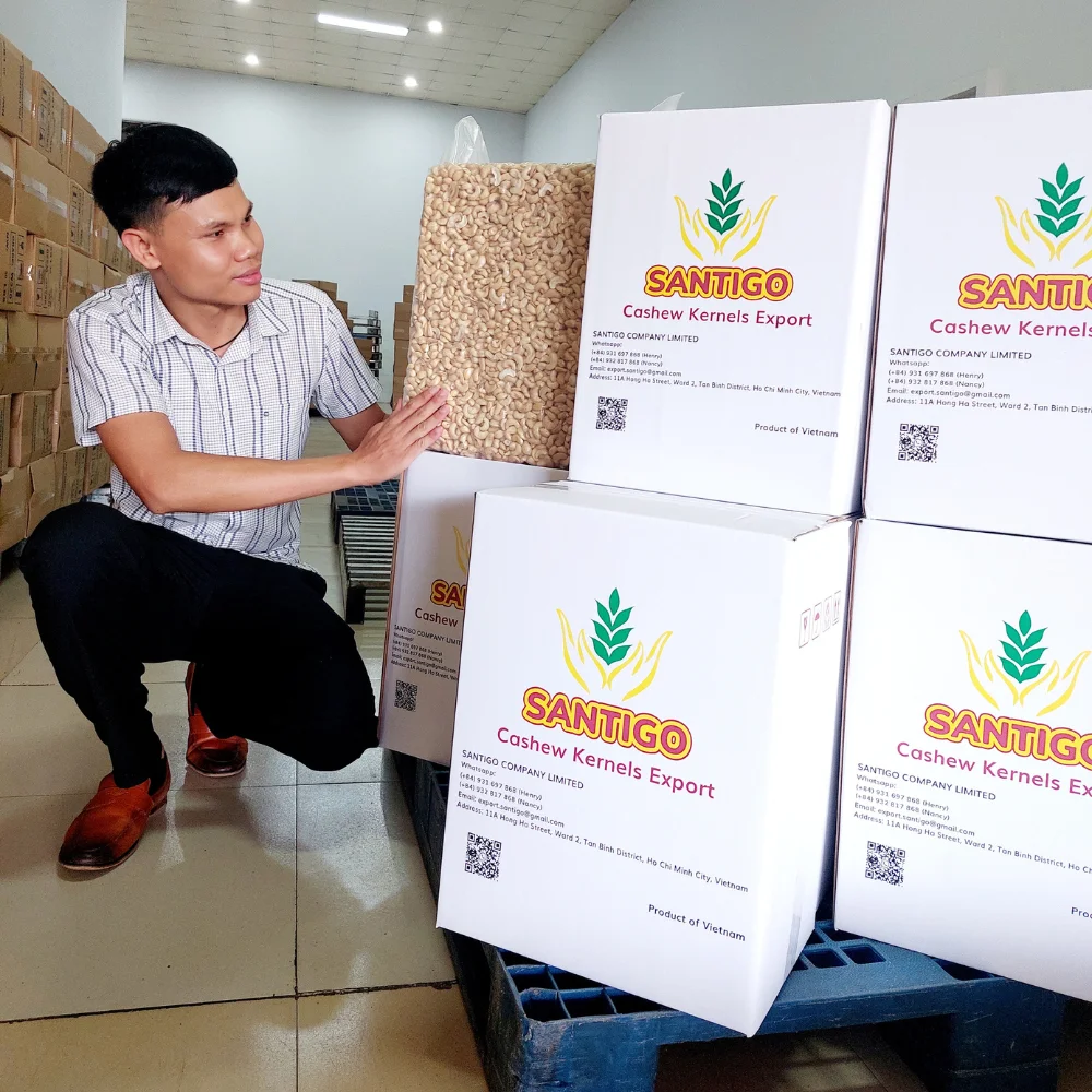 Factory Directly Cashew Nuts Cashew Nuts W320 Raw Cashew Nuts With Custom Packaging