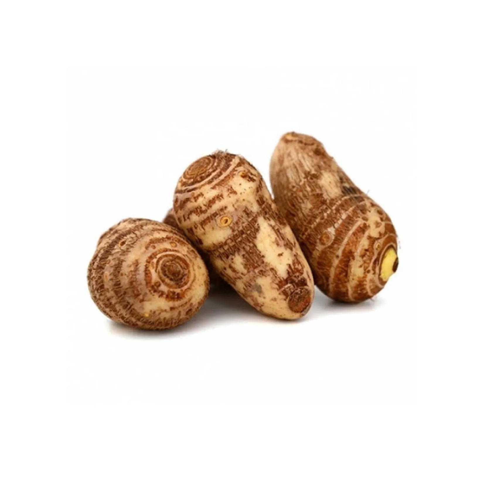 Organic New Crop Fresh Taro SA Origin