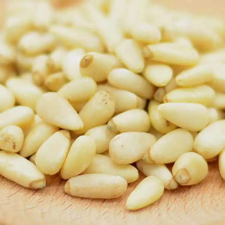 100% Pure Natural Raw Pine Nuts Mongolia Sell Wild Pine Nut Kernels