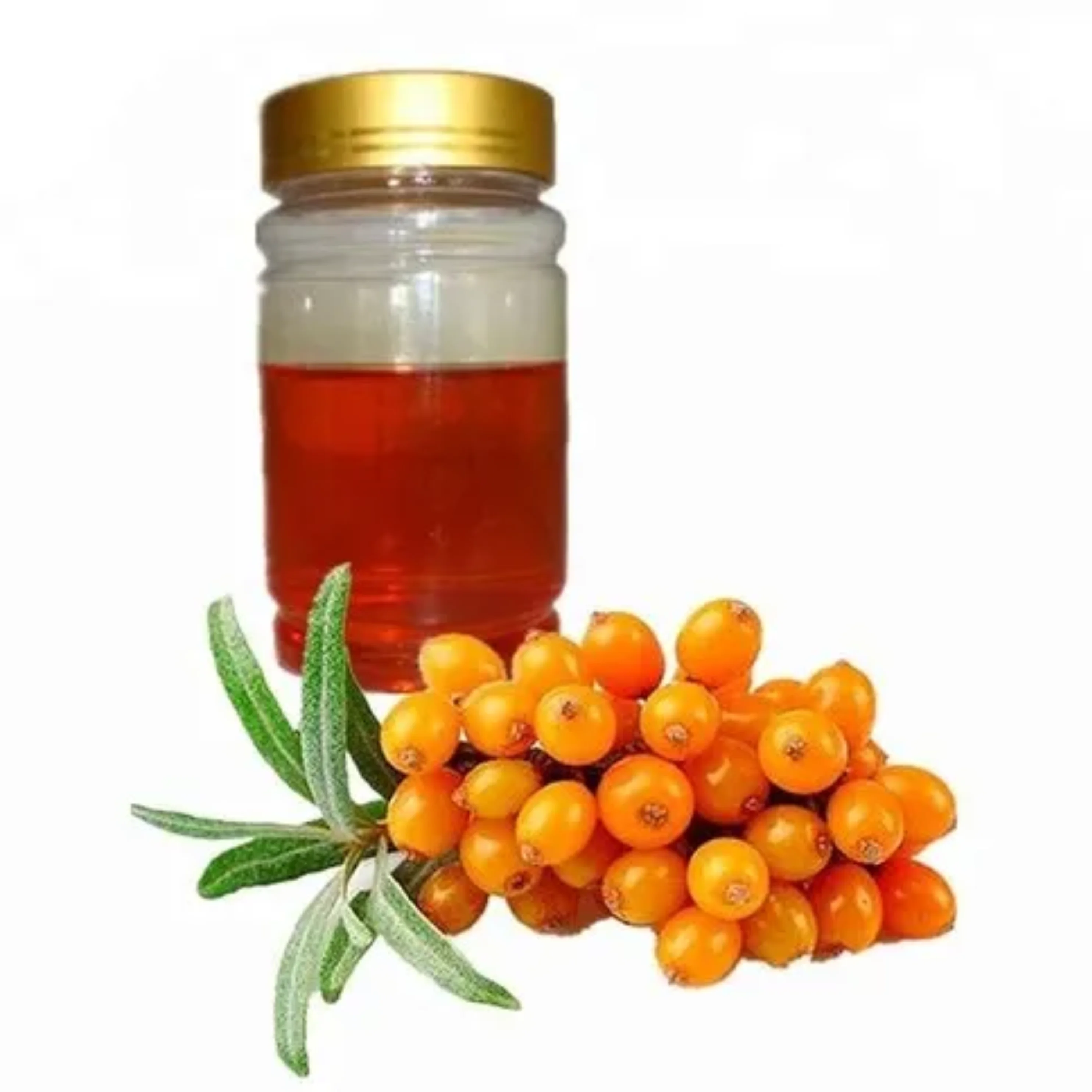 Sea Buckthorn Berry Oil 70kg Pure Natural Organic Cold Pressed Numerous Benefits Customization Available Wholesale Price