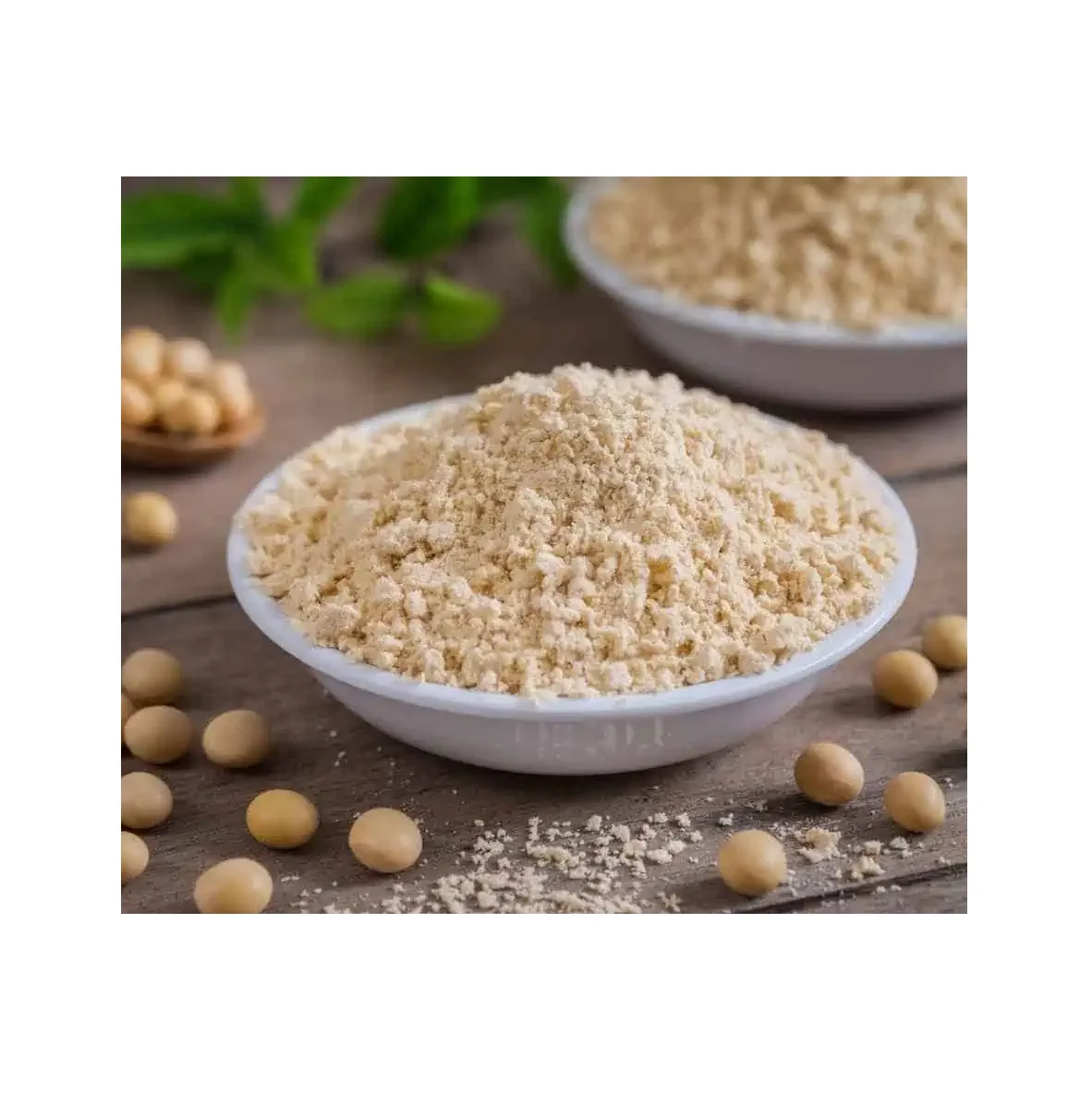 SOYA FLOUR/All Purpose Wheat Flour / 100% Organic Soy Flour