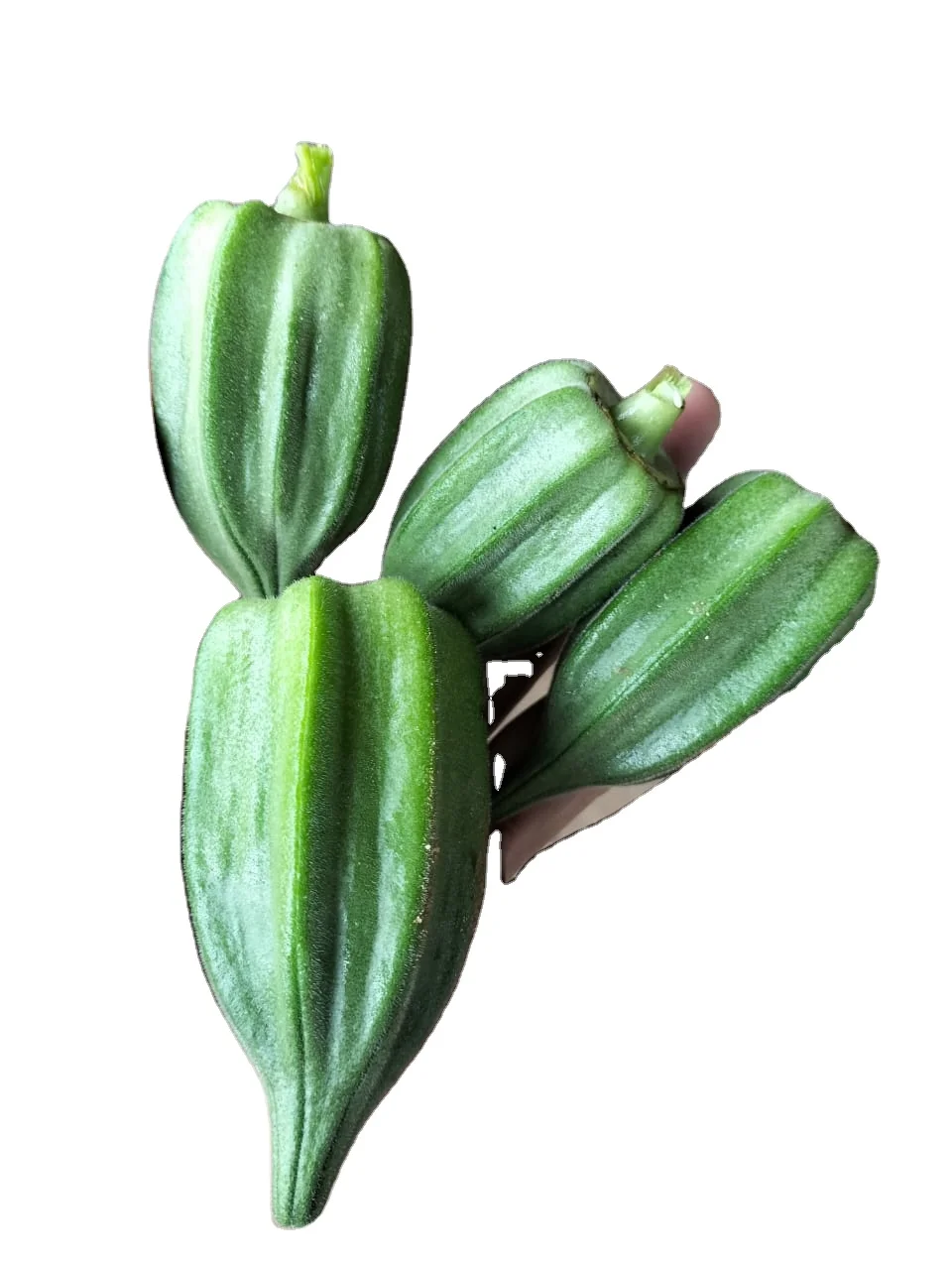 African Okra export in 30 / 40 / 50 gm sachet packing