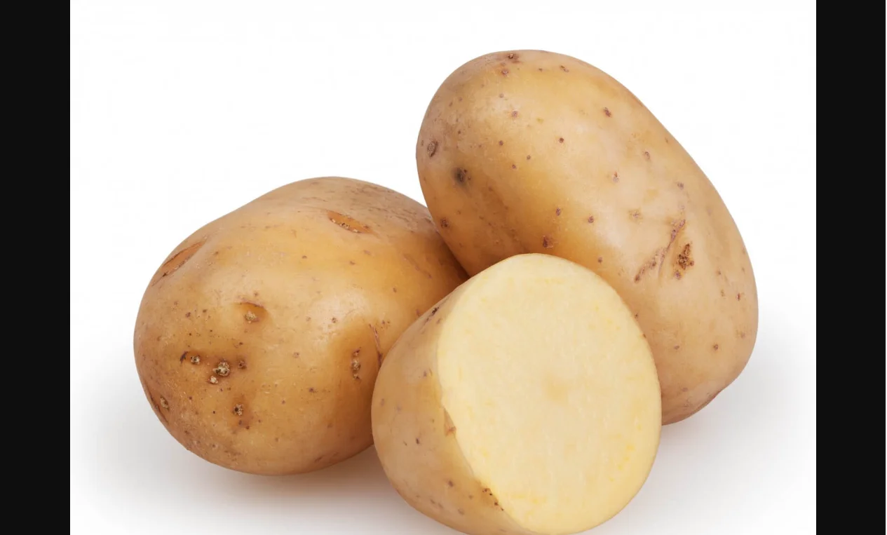 New fresh Potato yellow bulk new crop good quality per ton good price for wholesale fresh potato professional export potato 2022