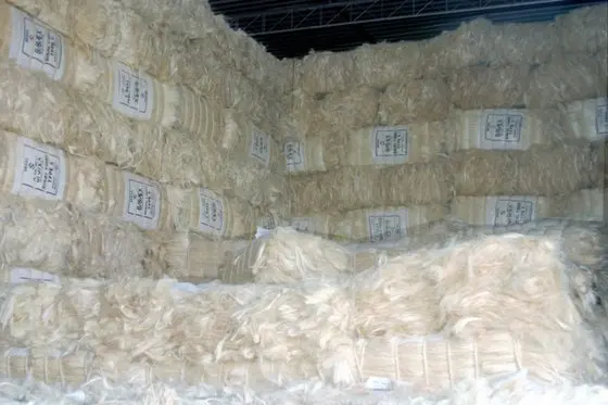 NATURAL SISAL FIBER AND YARN OF KENYAN ORIGIN / TEXTILE RAW MATERIAL SISAL FIBER