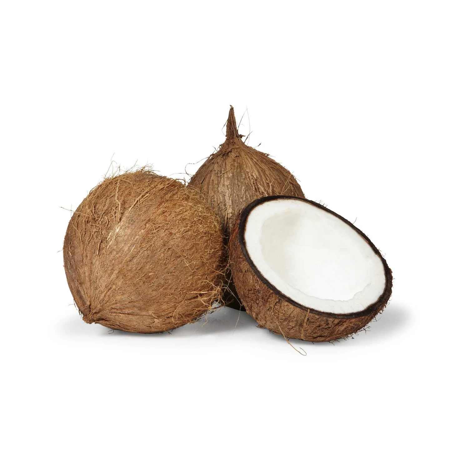 Pure Organic full and semi husked Coconut/Fresh Tender Coconut OEM supply and ready for market High Quality 4 Weeks Use Fresh Se