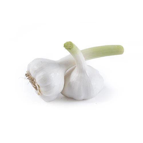 100% Organic High Quality Dried Garlic Fresh Style Peeled Solo Garlic for Food Use