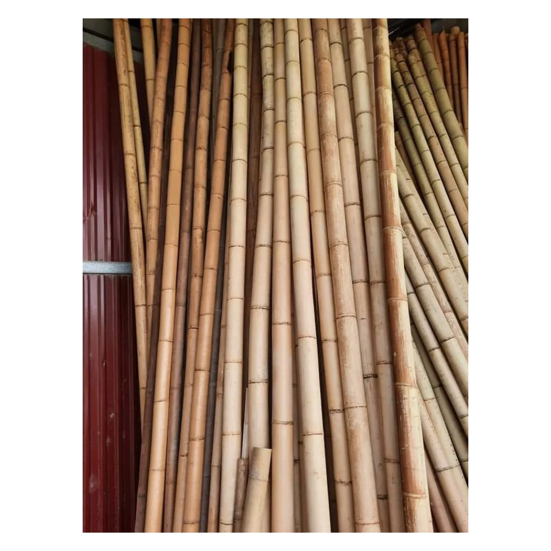 Vietnamese natural bamboo fence wholesale price! Raw Bamboo Poles for Gardening and Decoration! Bamboo Pole Natural