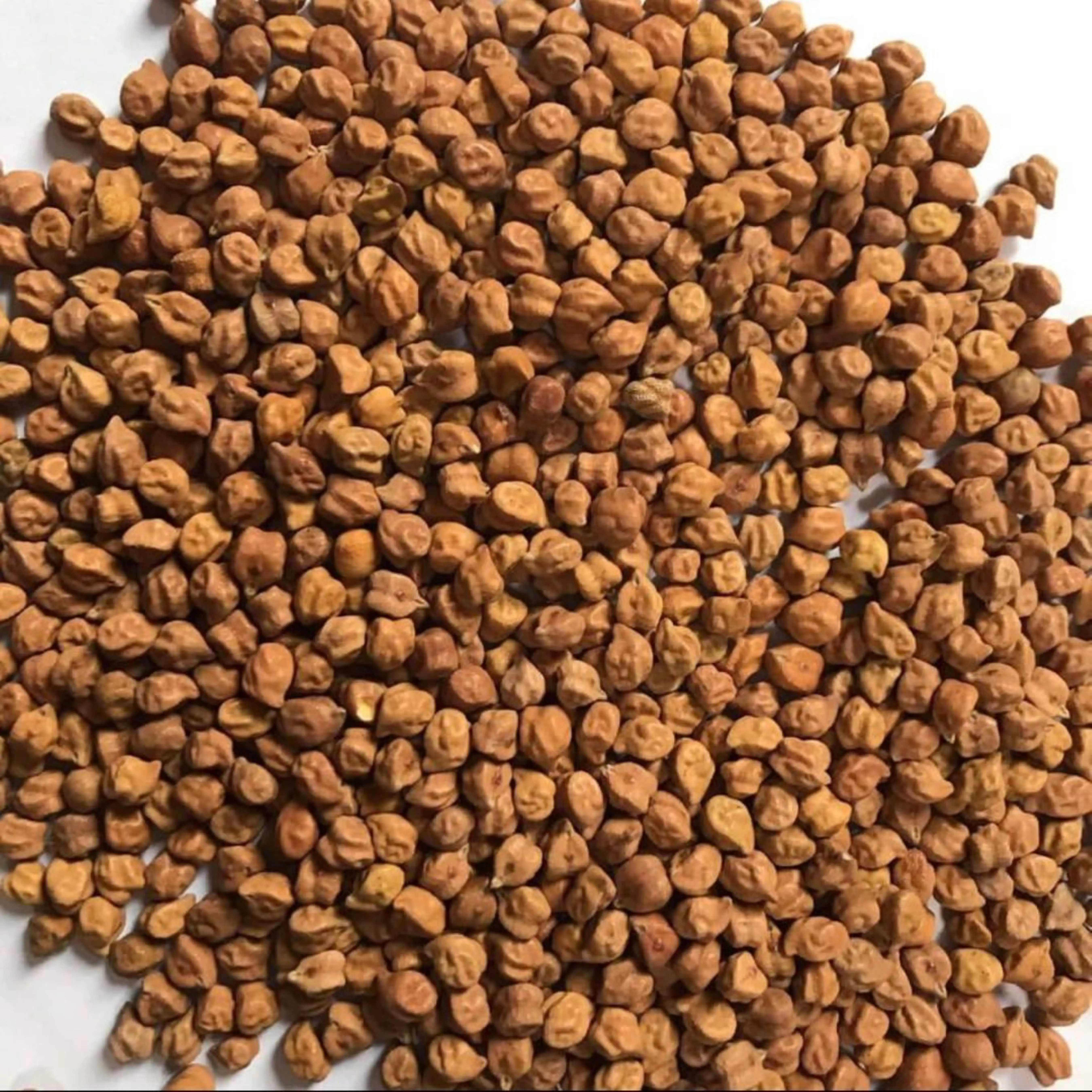 DESI CHICKPEAS FOR SALE IN BULK FOR LOW PRICE