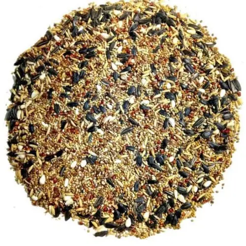 Bulk Sale of Natural African Love Bird Mix Healthy Dried Food with Pure Organic Quality Sunflower Safflower Proso Millet
