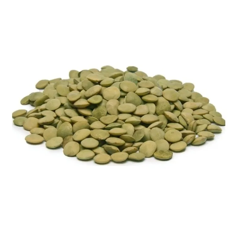 Hot Selling Price Canadian Whole Green Lentils Dry Organic Green Lentils in Bulk