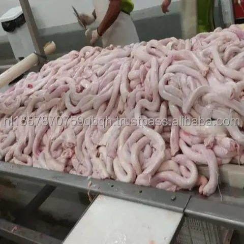Halal Frozen Beef Penis Fresh Clean Processing Beef Penis Bull Pizzle Nutritious Organic Chilled Beef Pizzle