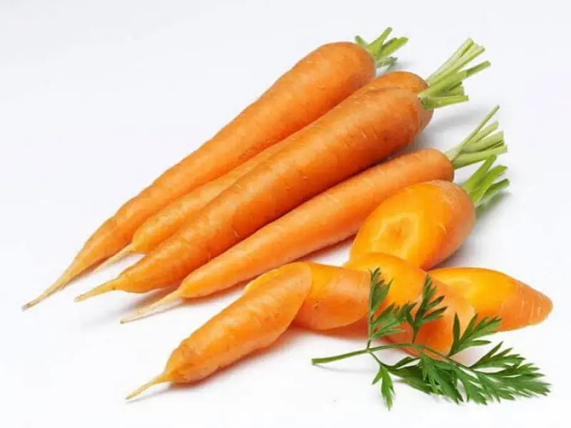 Экспорт Качественных свежих овощей, обычное выращивание, оранжевый натуральный сладкий свежий Морковь из Вьетнама