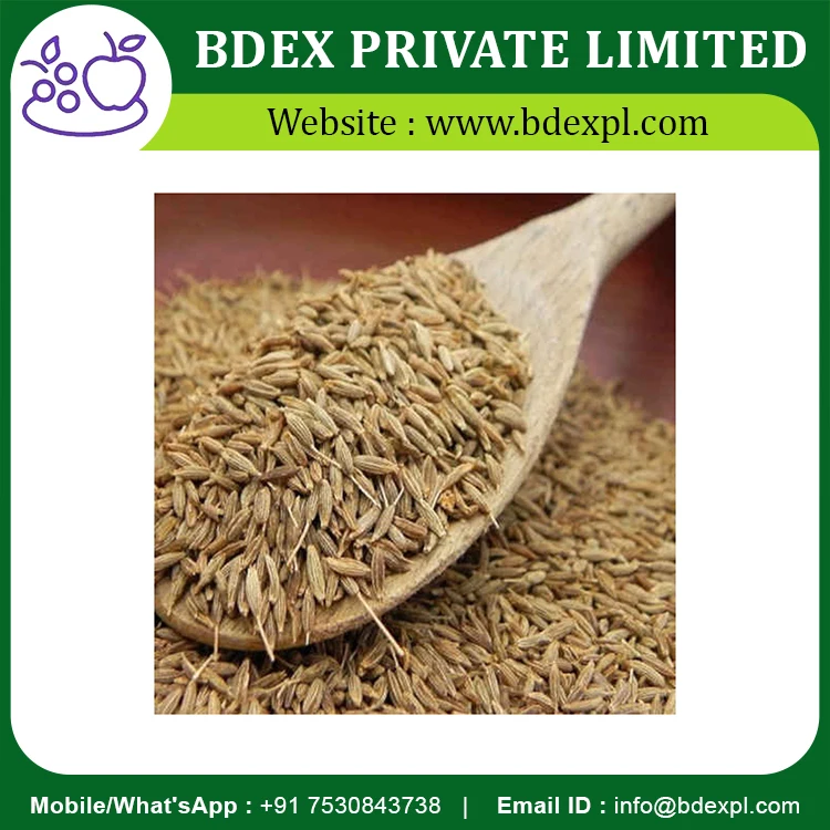100% Organic Spices Whole Cumin Seeds At Wholesale Price